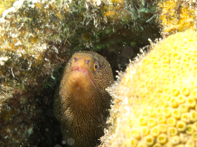 03-01-12_Wind Sock (31)