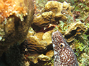 02-28-12_Mi Dushi (29)