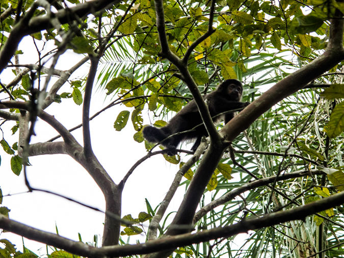 %_tempFileName2014-04-10_01_Iguazu_Falls-119%