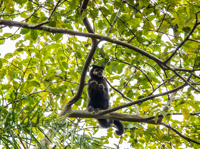 %_tempFileName2014-04-10_01_Iguazu_Falls-123%