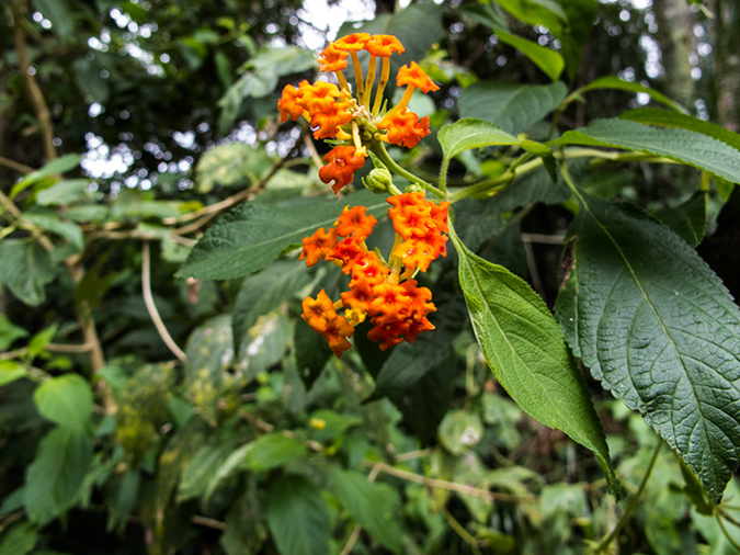 %_tempFileName2014-04-10_01_Iguazu_Falls-48%