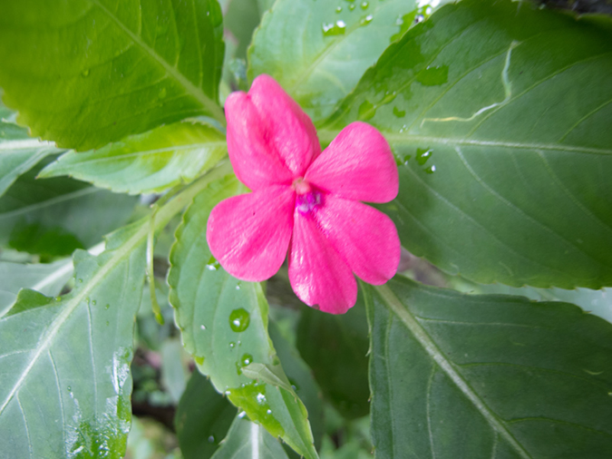 %_tempFileName2014-04-10_01_Iguazu_Falls-67%