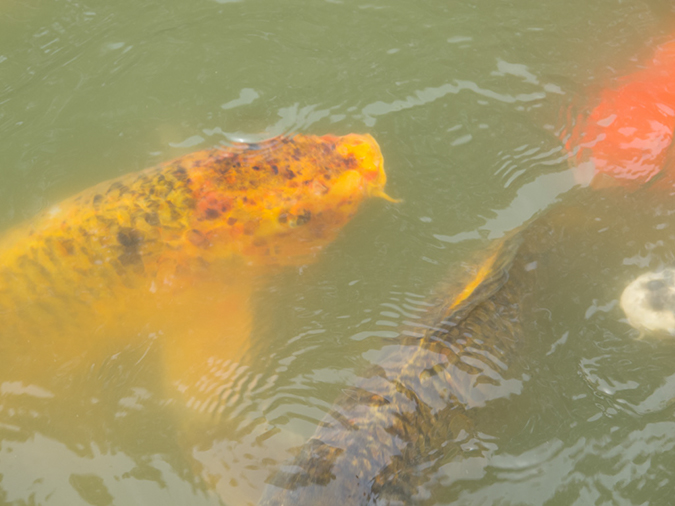 %_tempFileName2014-04-17_01_Buenos_Aires-14%