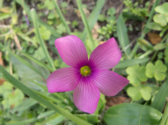 %_tempFileName2014-04-17_01_Buenos_Aires-21%