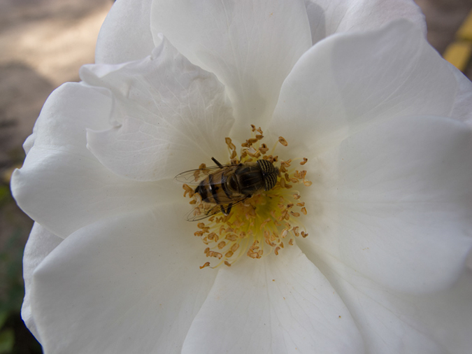 %_tempFileName2014-04-17_01_Buenos_Aires-26%