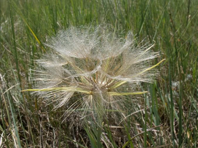 %_tempFileName2013-07-20_1_Dinosaur__Provinical_Park-5%