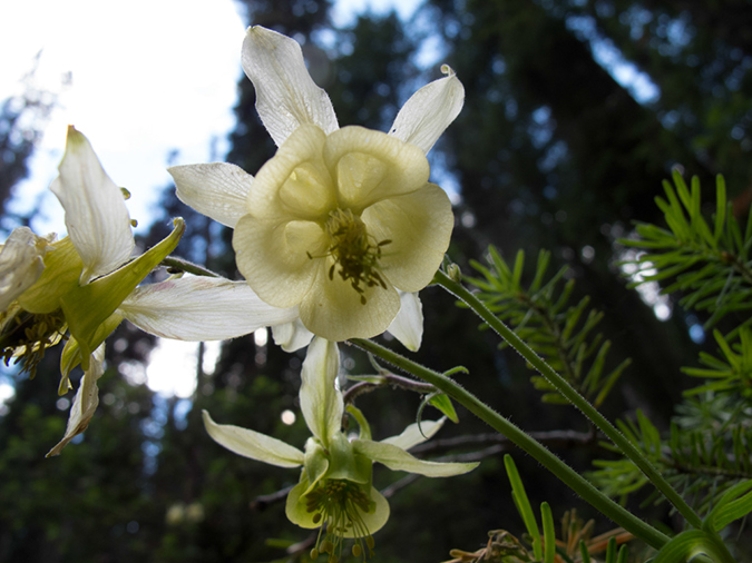 %_tempFileName2013-07-21_2_Johnson_Canyon_Banff_NP-25%
