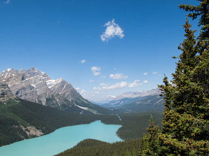 %_tempFileName2013-07-25_2_Icefield_Parkway_Banff_NP-23%