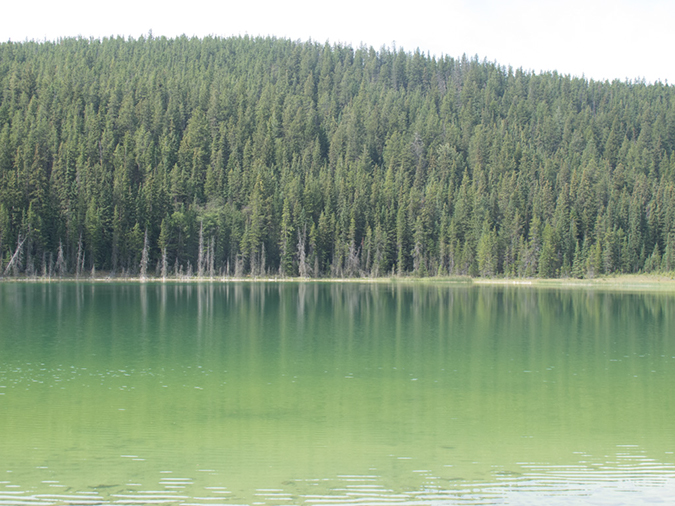 %_tempFileName2013-07-26_1_Pyramid_Lake_Loop-12%