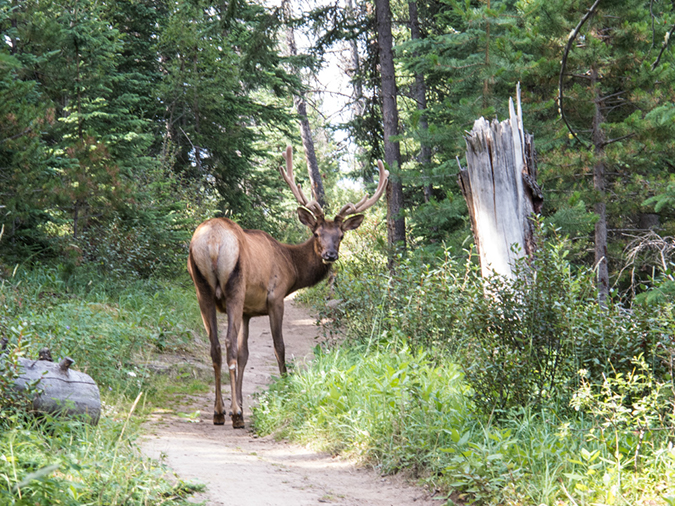 %_tempFileName2013-07-26_1_Pyramid_Lake_Loop-19%