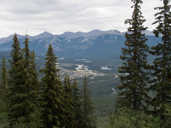 %_tempFileName2013-07-28_1_Whislers_Jasper-1%