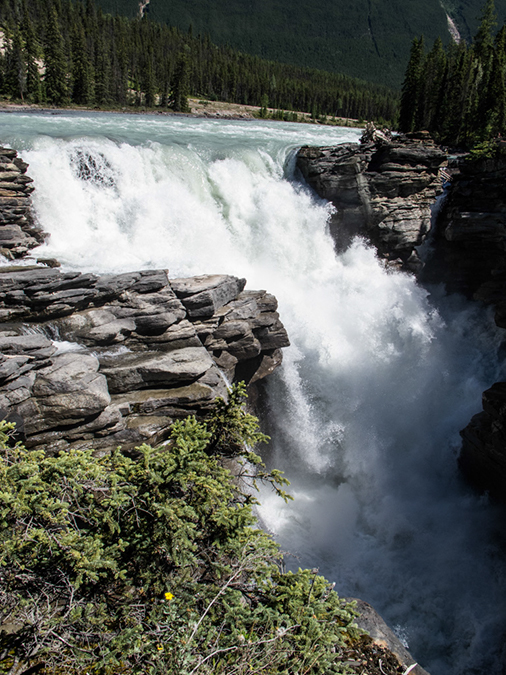 %_tempFileName2013-07-30_3_Athabasca_Falls_Jasper-1%