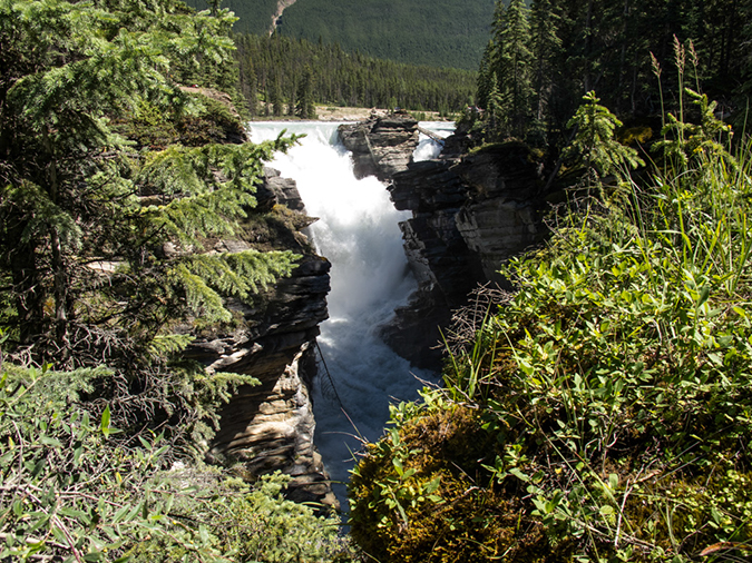 %_tempFileName2013-07-30_3_Athabasca_Falls_Jasper-6%