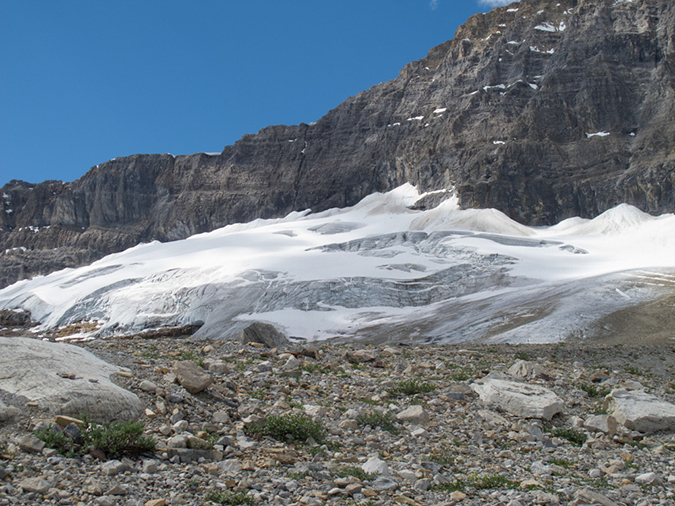 %_tempFileName2013-07-31_2_Iceline_Trail_Yoho_NP-26%