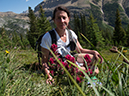%_tempFileName2013-07-24_1_Dolomite_Pass_Banff_NP-9%