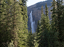 %_tempFileName2013-07-31_2_Iceline_Trail_Yoho_NP-3%