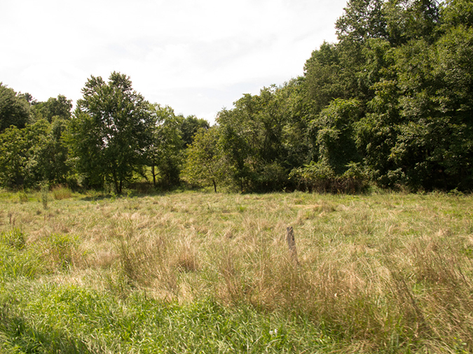 %_tempFileName2012-08-12_Montclair_to_Princeton-34%