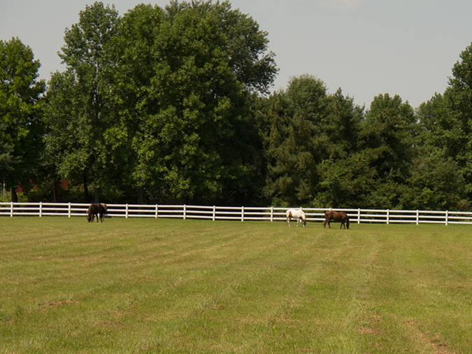 %_tempFileName2012-08-13_Princeton_to_Vineland-44%