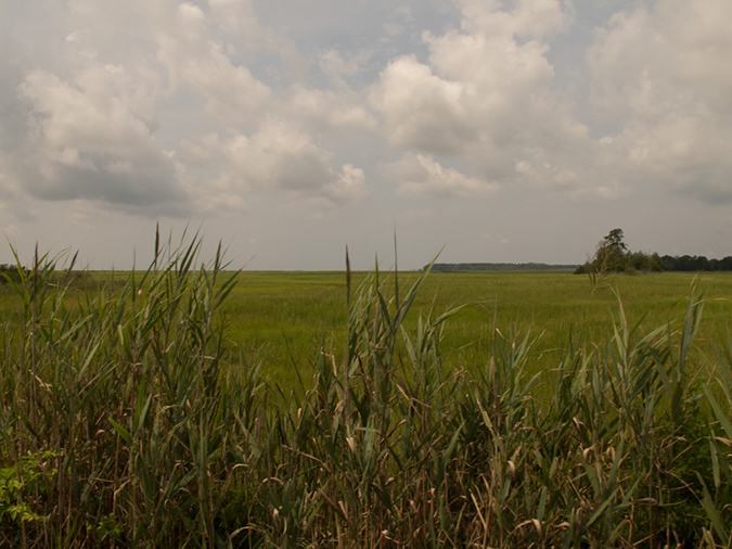 %_tempFileName2012-08-14_Vineland_to_Wildwood_Crest-43%