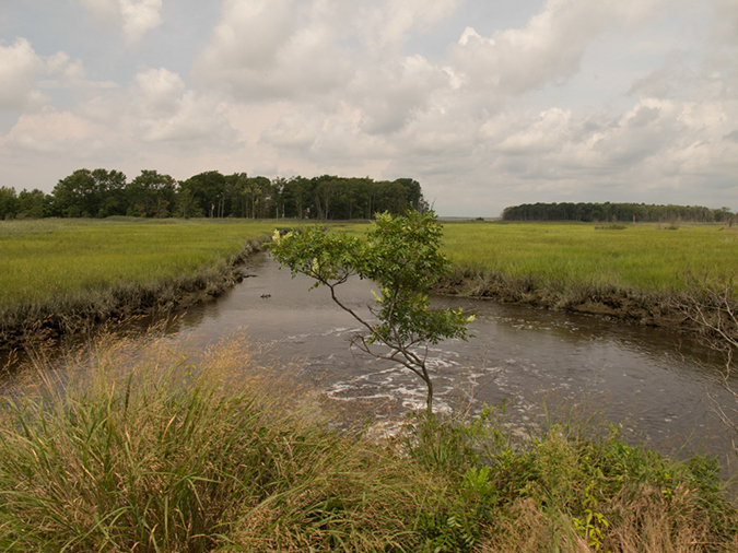 %_tempFileName2012-08-14_Vineland_to_Wildwood_Crest-46%