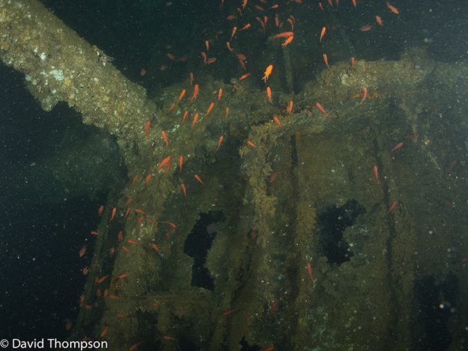 %_tempFileName2013_02_21-1-Sinwa-Maru-Wreck-8%