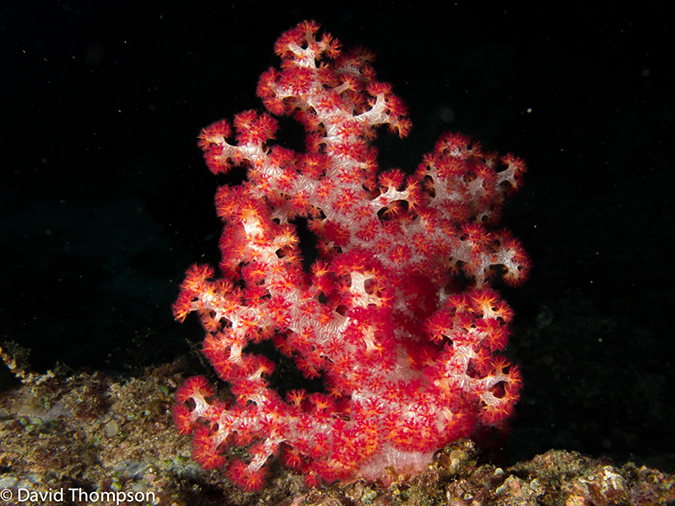 %_tempFileName2013_02_22-1-Batu_Auri-18%