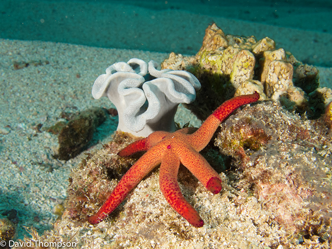 %_tempFileName2013_02_22-1-Batu_Auri-44%