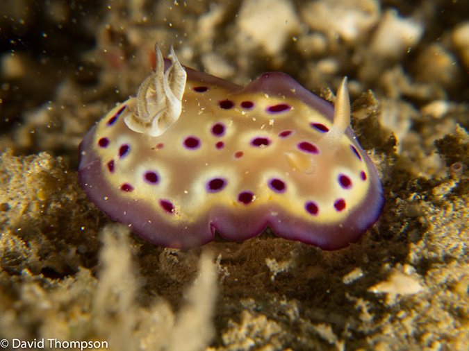 %_tempFileName2013_02_22-2-Tanjung-Busurua-39%