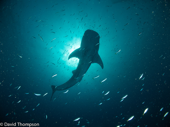 %_tempFileName2013_02_23-1-Kwatisore-32%