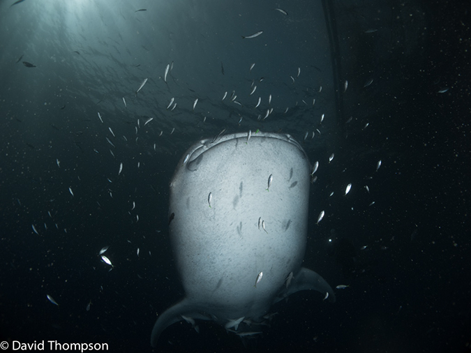 %_tempFileName2013_02_23-1-Kwatisore-34%