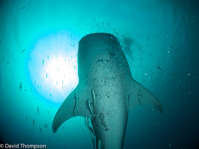 %_tempFileName2013_02_23-1-Kwatisore-37%