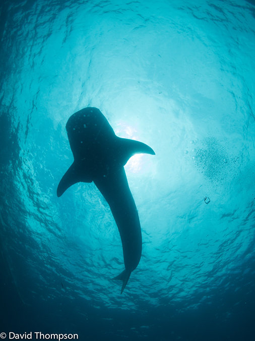 %_tempFileName2013_02_23-2-Kwatisore-1%