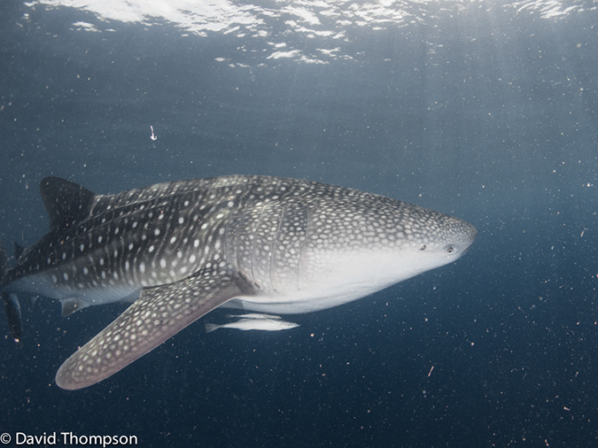 %_tempFileName2013_02_23-2-Kwatisore-32%