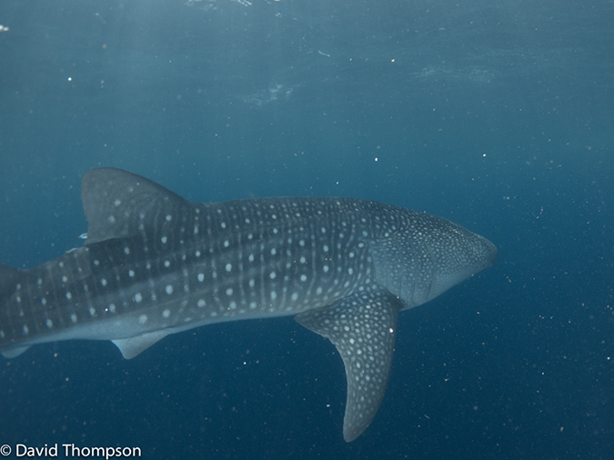 %_tempFileName2013_02_23-2-Kwatisore-33%