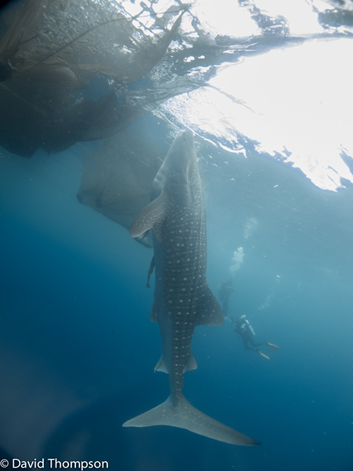 %_tempFileName2013_02_23-2-Kwatisore-6%