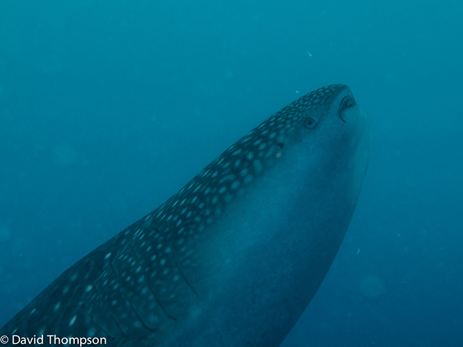 %_tempFileName2013_02_24-2-Kwatisore-10%