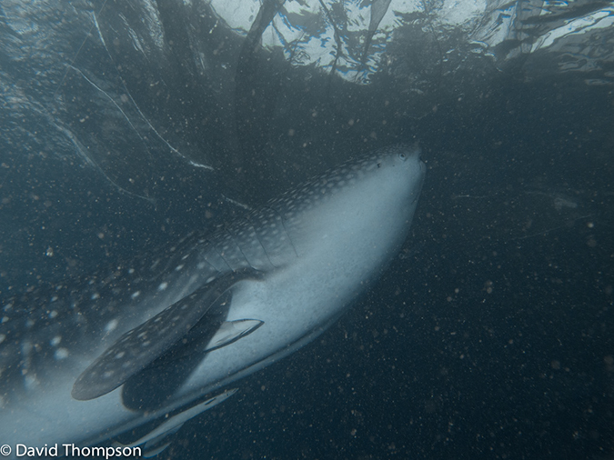 %_tempFileName2013_02_24-2-Kwatisore-24%