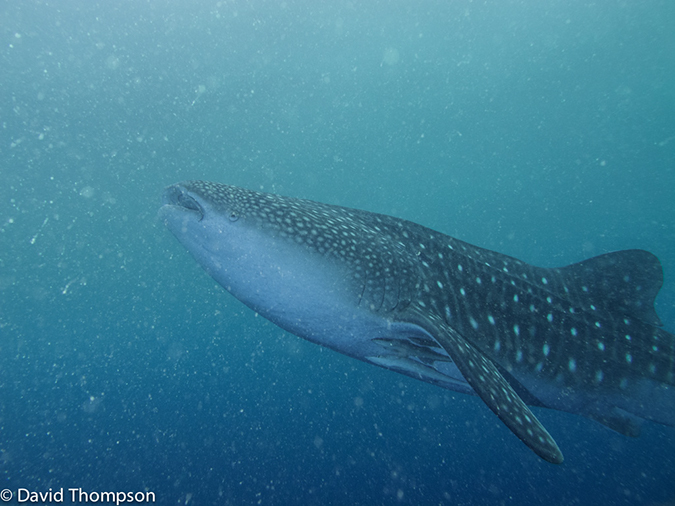 %_tempFileName2013_02_24-2-Kwatisore-31%