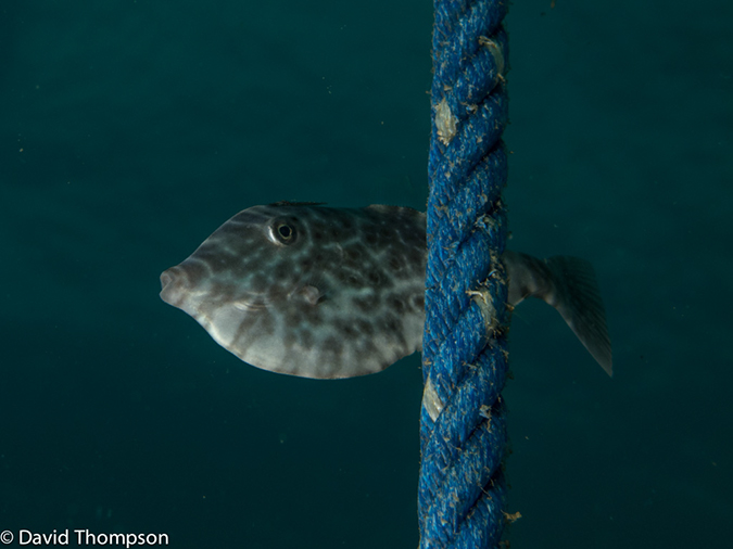 %_tempFileName2013_02_24-3-Kwatisore-23%