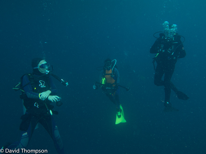 %_tempFileName2013_02_24-3-Kwatisore-32%