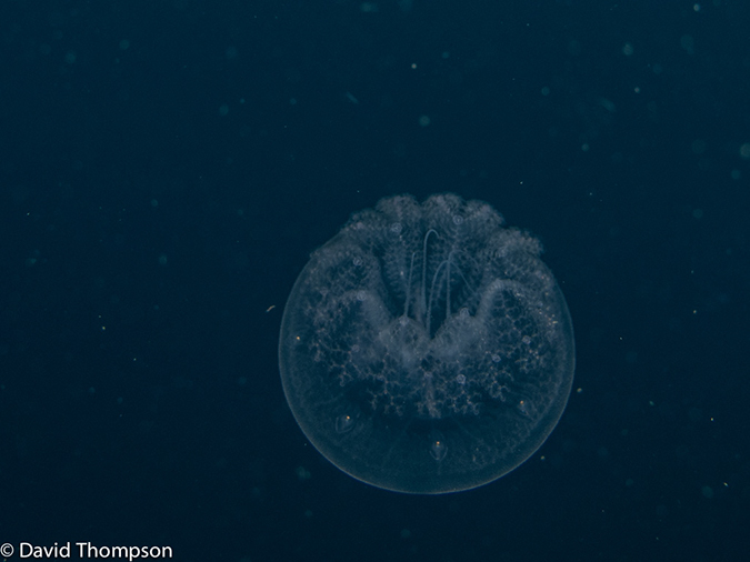 %_tempFileName2013_02_25-1-Kwatisore-10%