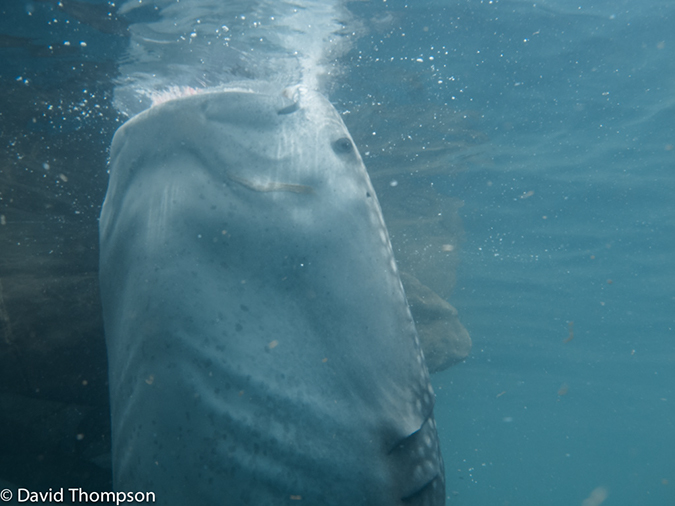 %_tempFileName2013_02_25-2-Kwatisore-47%