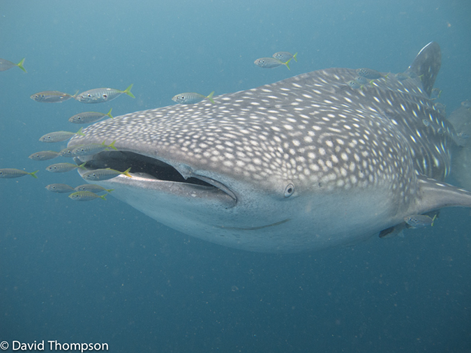 %_tempFileName2013_02_25-2-Kwatisore-57%