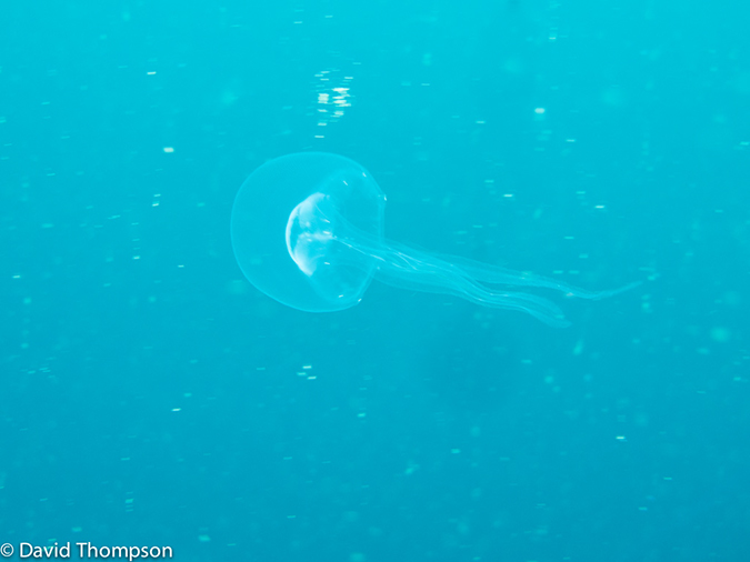 %_tempFileName2013_02_25-2-Kwatisore-7%