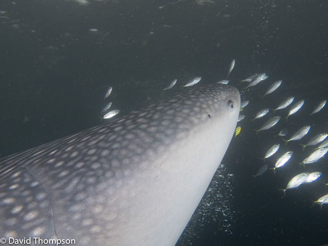 %_tempFileName2013_02_25-2-Kwatisore-72%