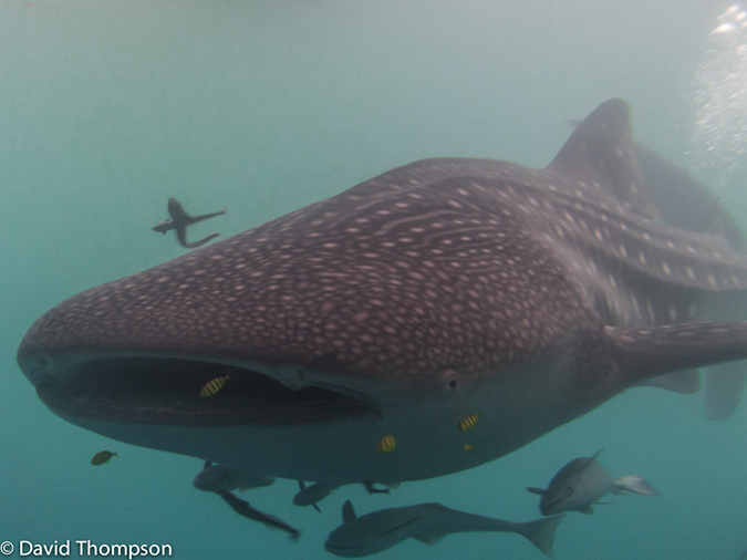 %_tempFileName2013_02_25-3-Kwatisore-49%