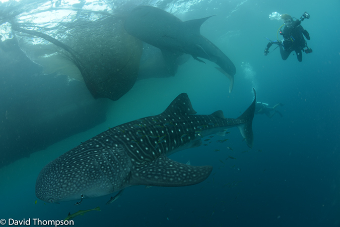 %_tempFileName2013_02_25-3a-Kawatisore-Danny-13%