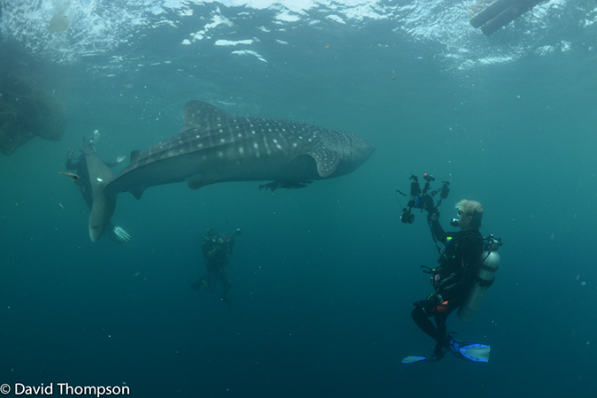 %_tempFileName2013_02_25-3a-Kawatisore-Danny-8%