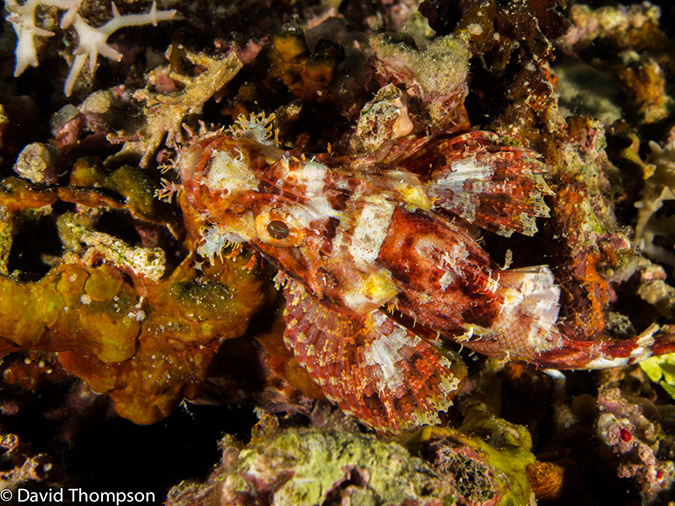 %_tempFileName2013_02_26-1-Zero-Plane-and-Reef-12%