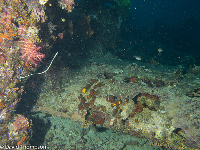 %_tempFileName2013_02_26-1-Zero-Plane-and-Reef-8%